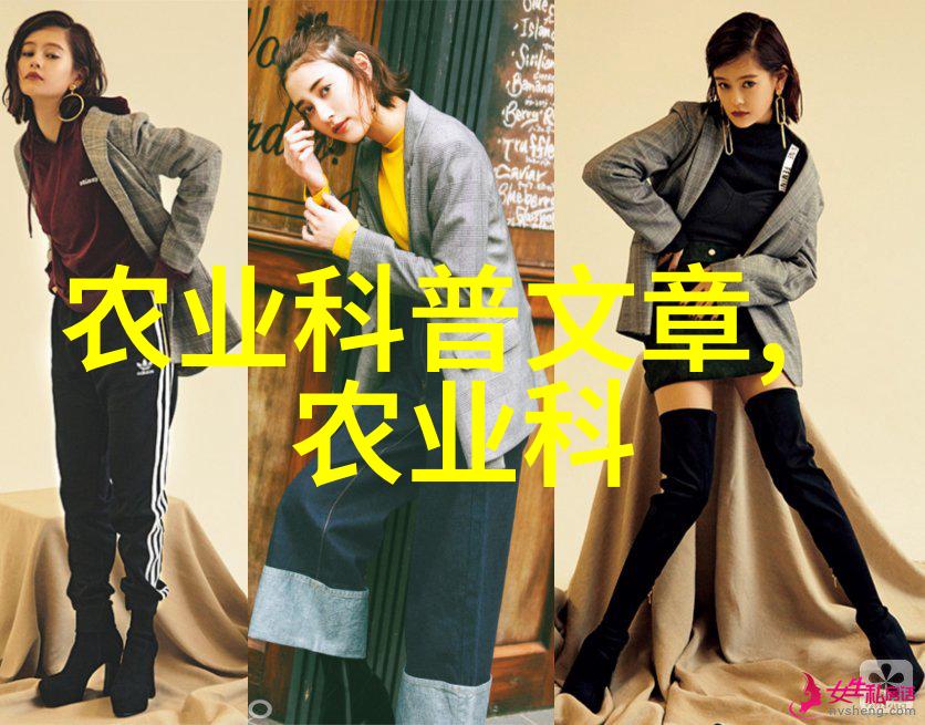肥厚利润揭秘那些快速赚钱且易于销售的养殖项目