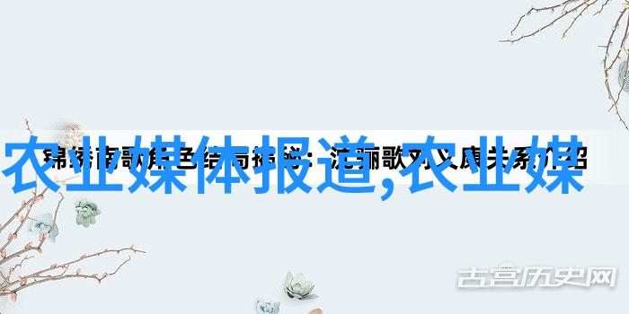 品味清新茶艺入门指南