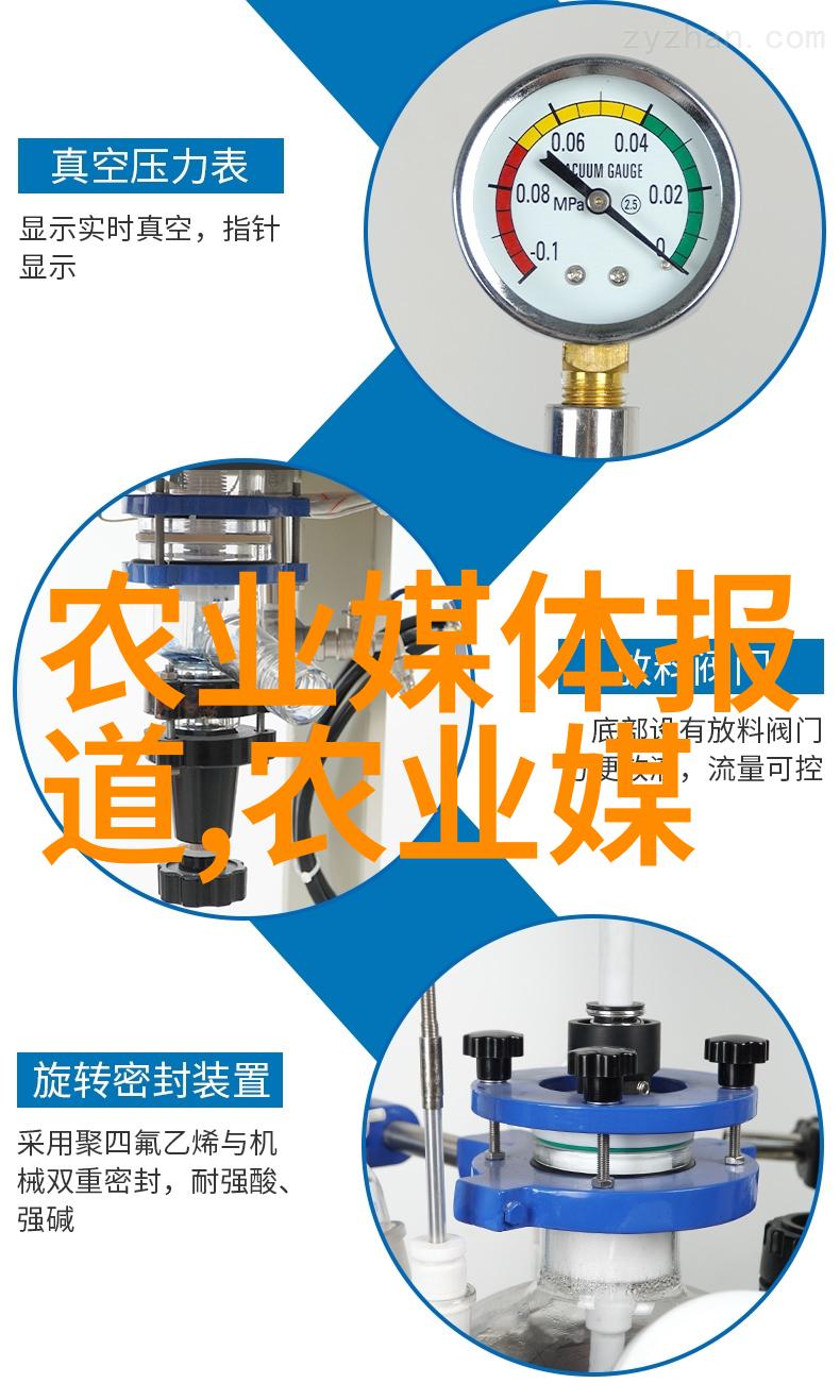 金线莲花开一斤金子买不到的笑声