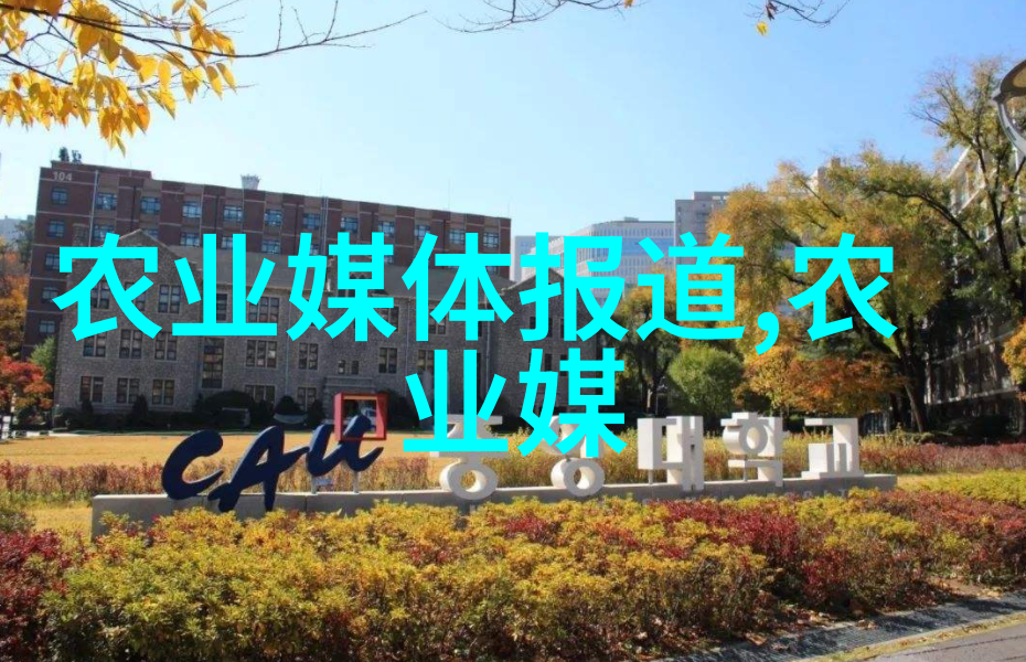 在众多专业中女生读大专究竟该选择哪些方向以确保毕业后的就业前景光明
