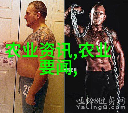 园艺花卉种植技术我是怎么把我的阳台变成了小花园的