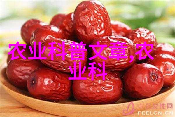 推动农业现代化新技术革命的农业生产方法与应用