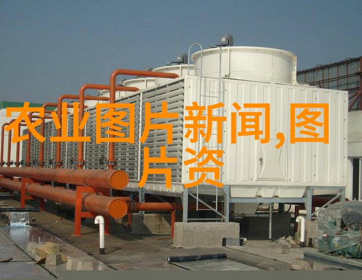 现代养殖业的多元选择寻找高效赚钱途径