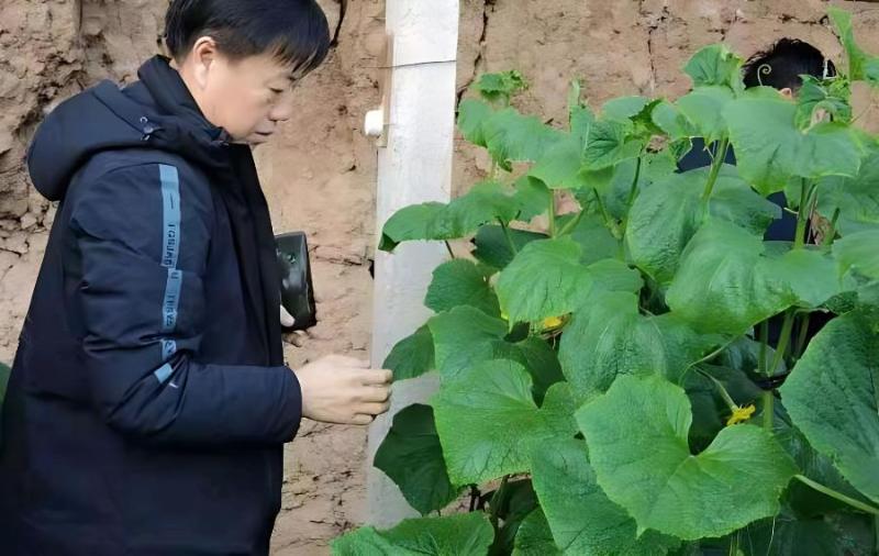 关于茶文化的内容我和我的茶友们一段悠长的品茗之旅
