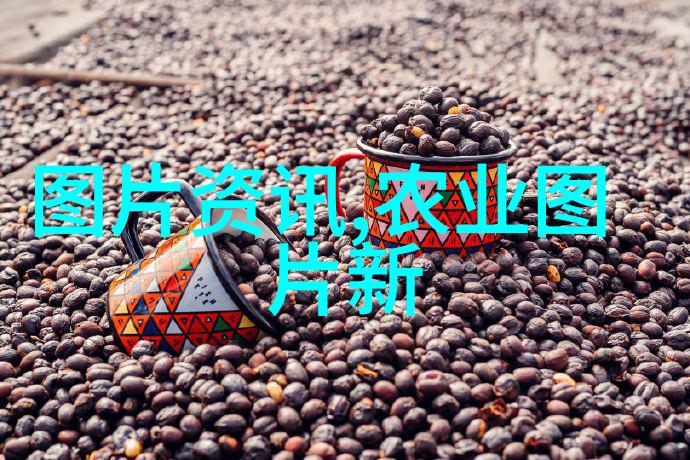 国相爷神算我见过的那个国相爷他的算盘真的能让人称奇