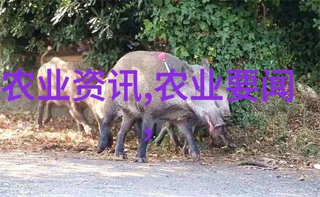 中药材种植技术中药材种植的先进技术