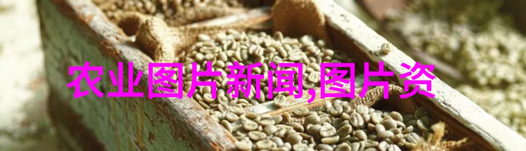 绿茶的故事从古老的采摘到现代的享受
