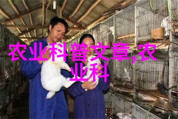 蔬菜背后的秘密揭开最近批发市场的神秘面纱