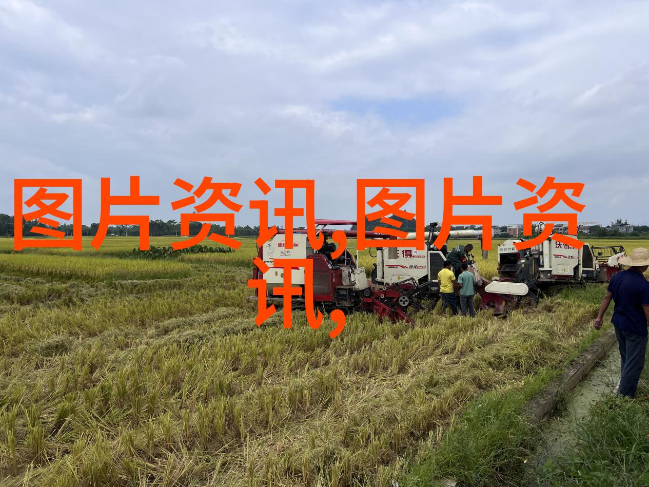 中药材价格变动背后的经济因素探究