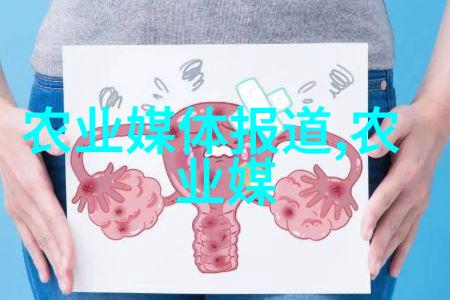 机械化助力新一代稻谷烘干机的兴起与应用前景