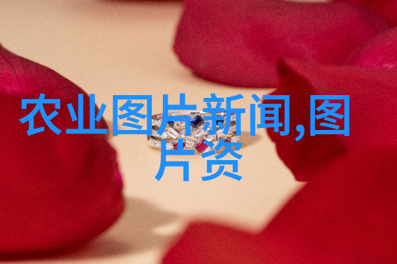 榆林花卉市场鲜花盛开的美丽风景