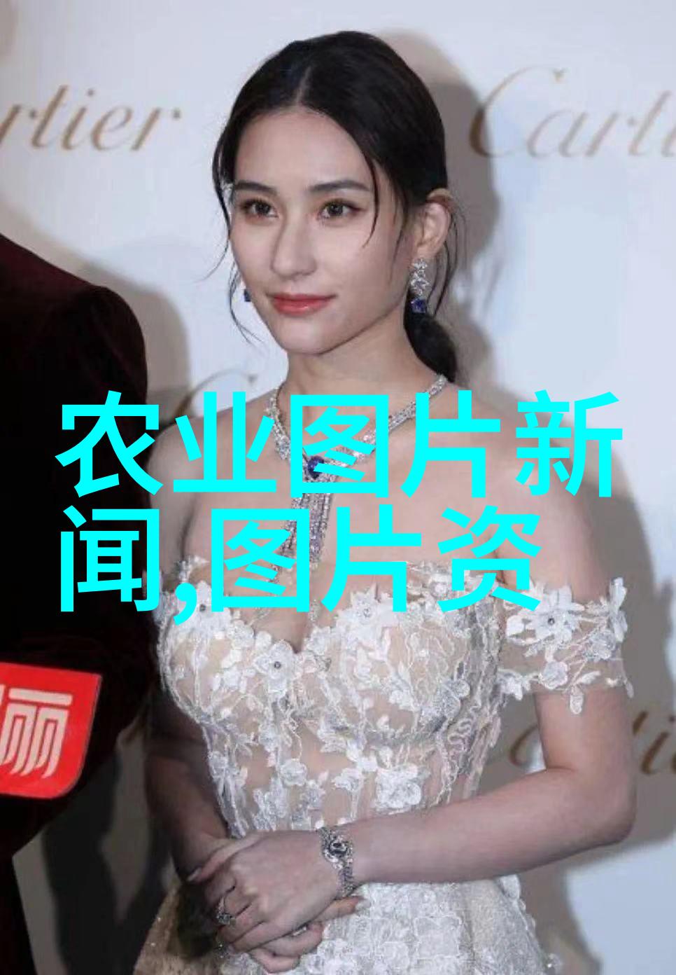 蜂舞绿意15公分白蜡树的秘密价格