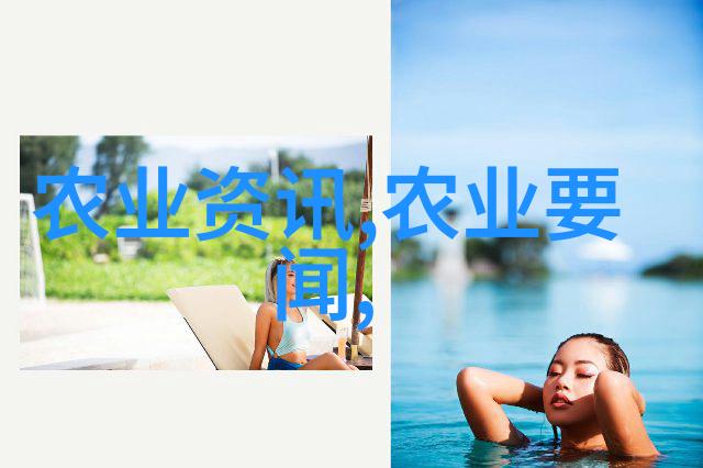 新岗启航职场梦想的最新指南