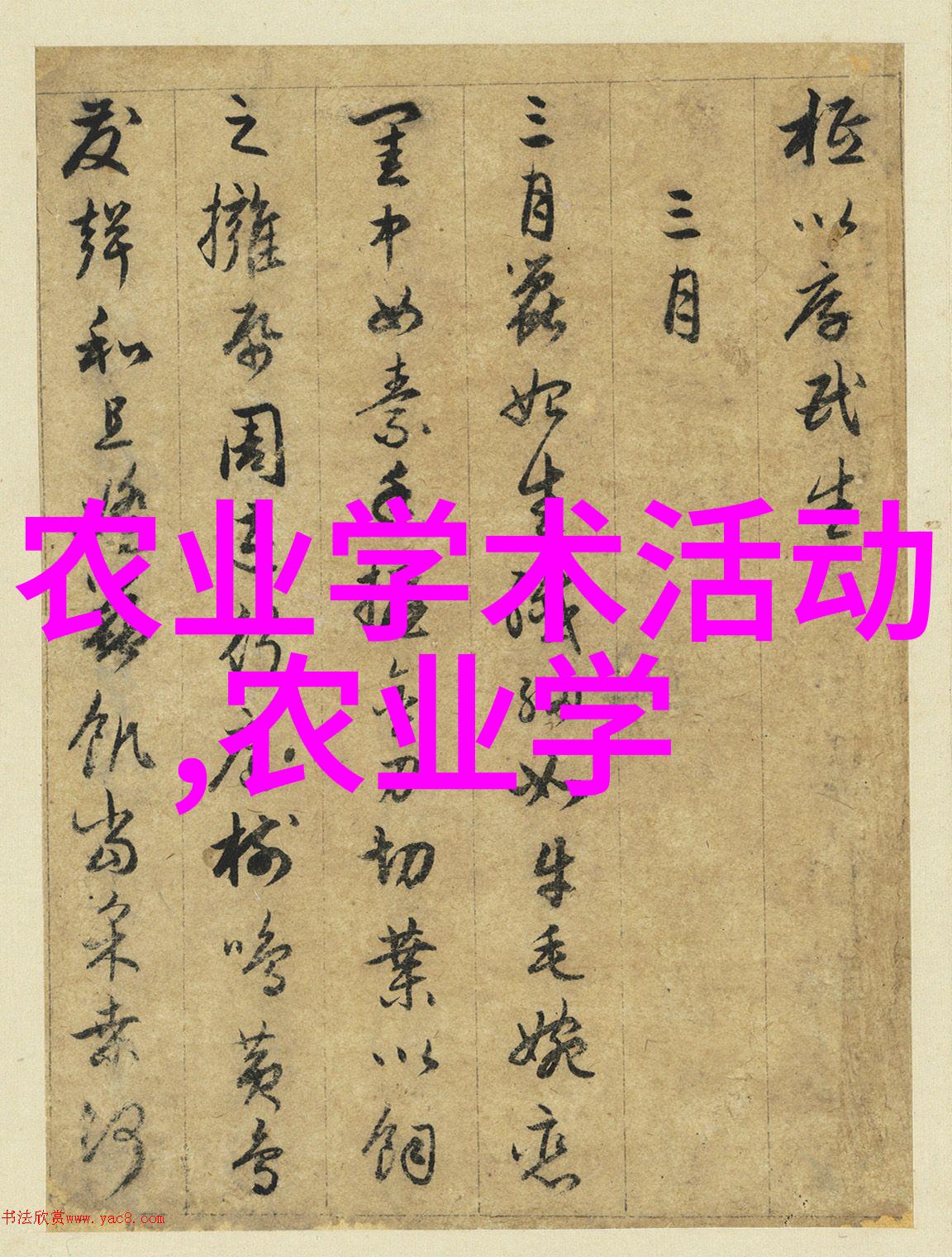 沉睡千年的秘密揭开中国茶的神秘面纱