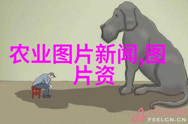 在有限空间中怎样有效地布局多样化的园艺植物