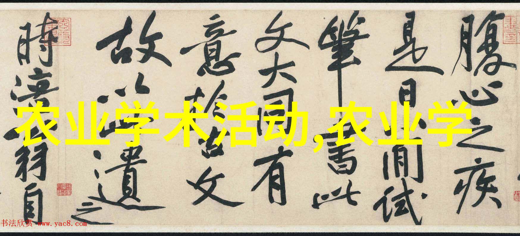 森林中的金子世界上最贵的树种背后的故事和秘密