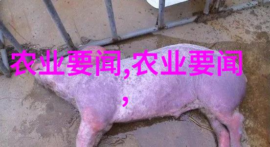 牧场之谜一头牛的肚子需要多少天空