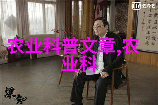 越海全文提灯小豆子我亲自去海边捡拾的那些让人心动的小故事