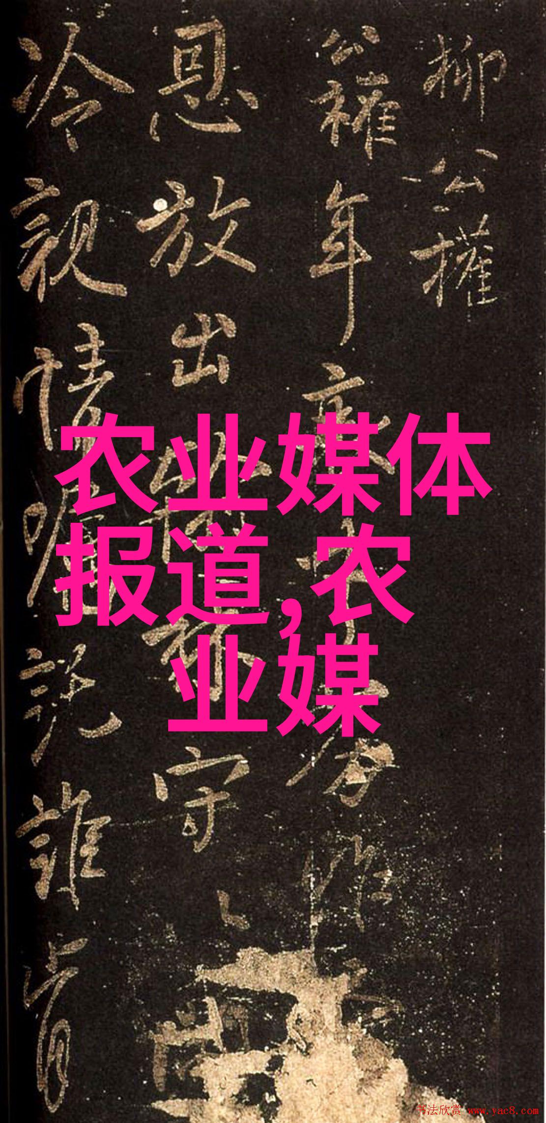 好茶有什么特征品一杯了解