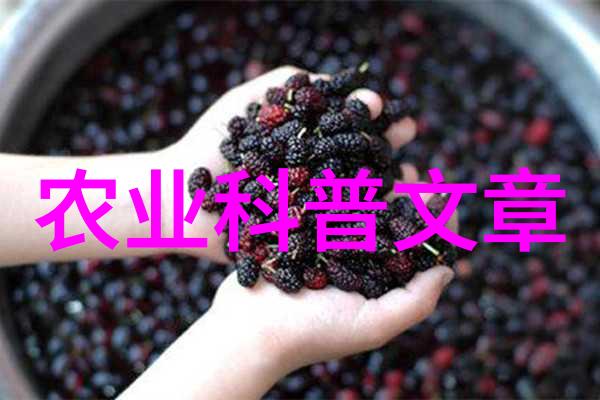 柴继杰教授倾情呈现