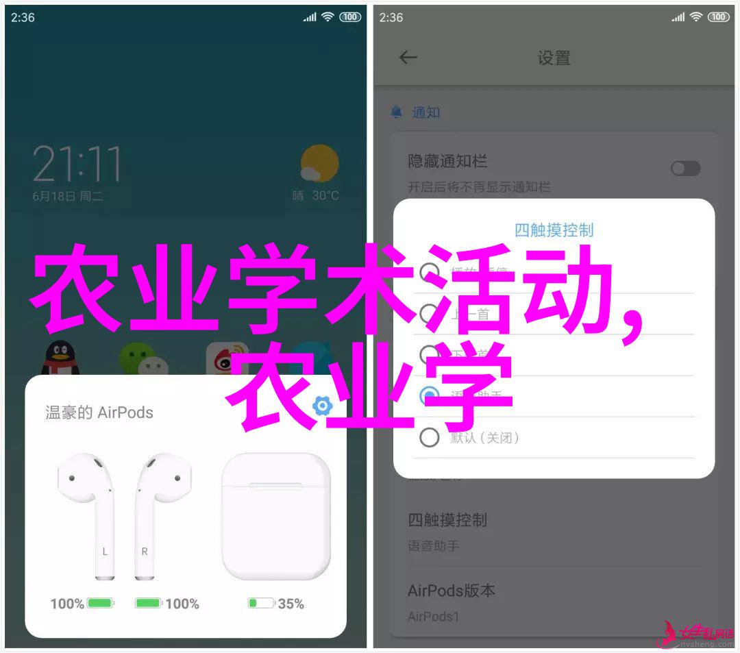 探究百万绿化工程的规模与效益量化分析与环境改善潜力