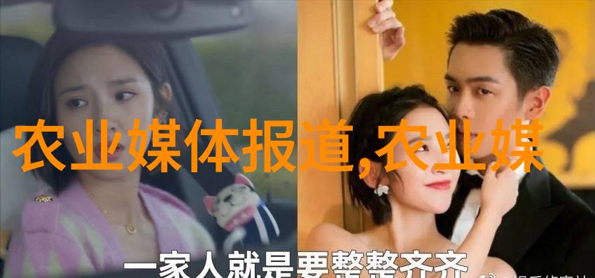 红土地上的奇迹凤阳小岗村的农业革命