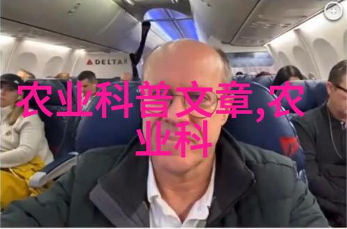 金线莲的秘密价值重量与珍贵之间的故事