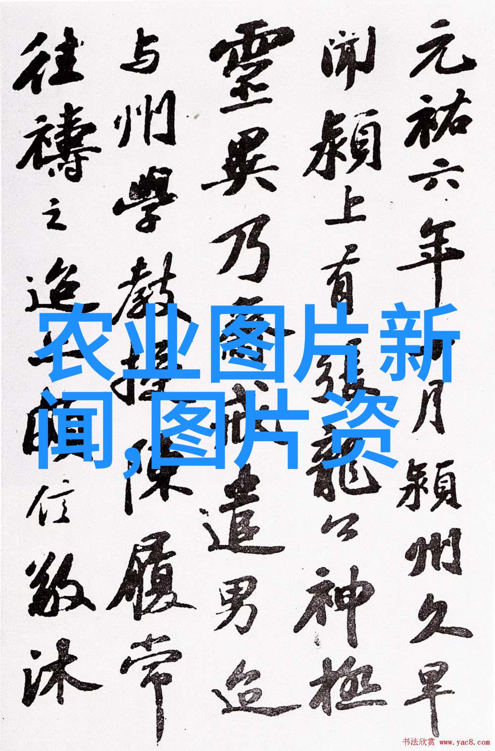 养蜂百科亲自教你怎么样养出一窝健康的蜜蜂来