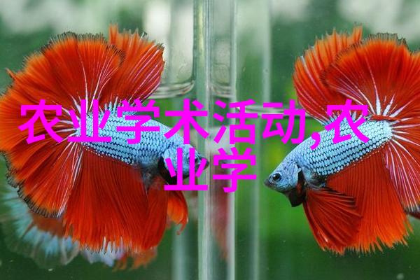 水果种子的秘密解开它们的生长奥秘