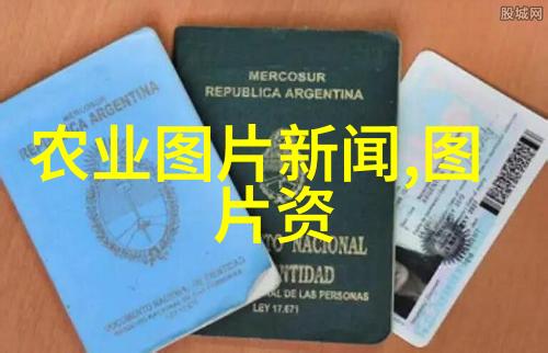 家庭客厅的温馨花园选择适合空间的小鲜花
