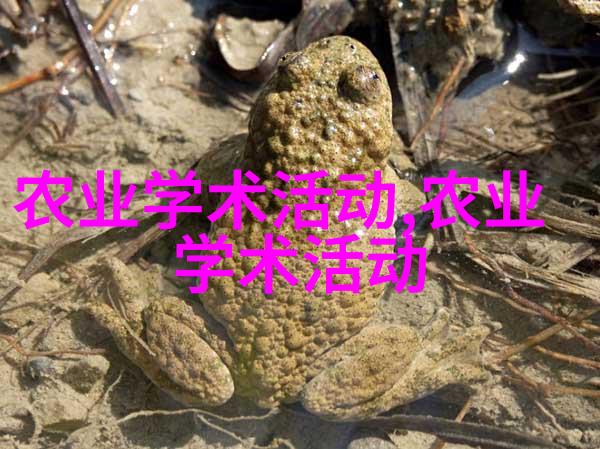 图像描述