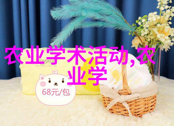 大棚建造费用分析探究一亩多少钱