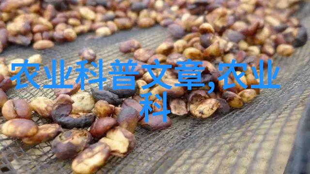 玉兰爱好者必备知识十厘米大小下的美丽与价格