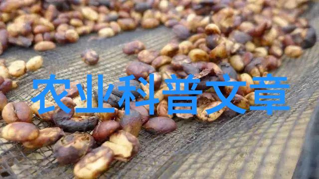 农学活动有什么_农业学术活动_农业学术会议