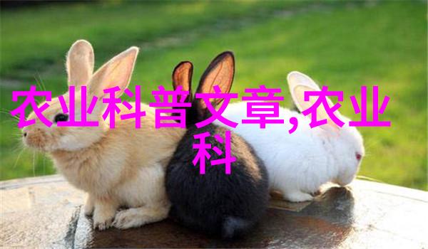 山羊养殖全程解析从购买到繁育的每一步驟