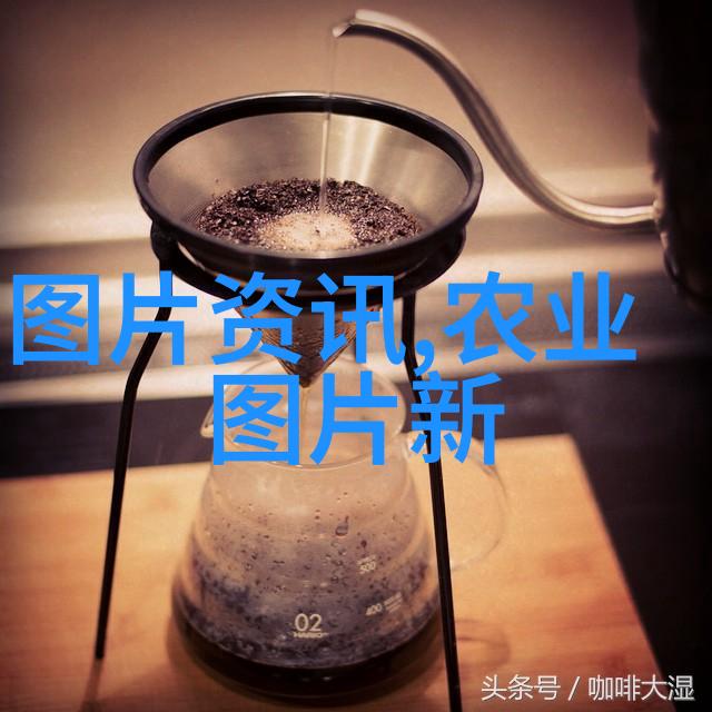 除了资金支持政府为何还提供了其他类型的服务来鼓励養蝶業發展