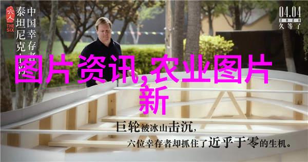 如何提高池塘鲤鱼鱼苗培育产量
