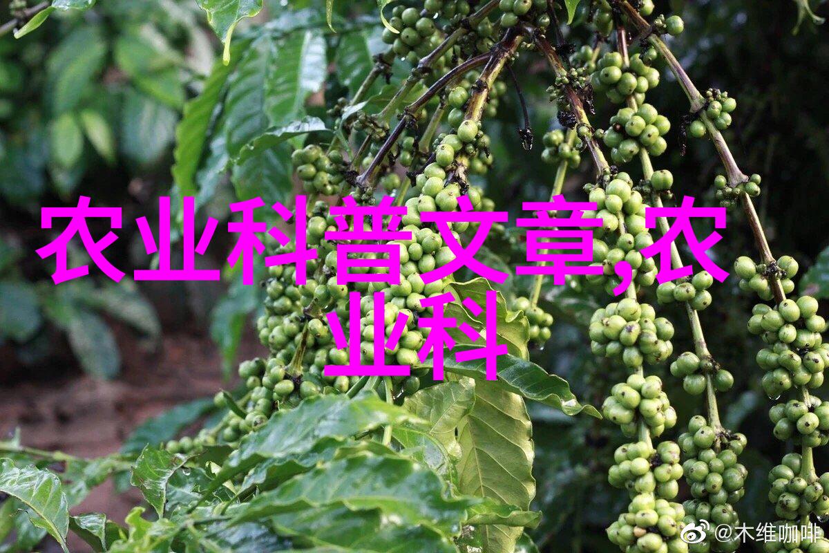 探索花卉之谜解读它们的生命力与美丽