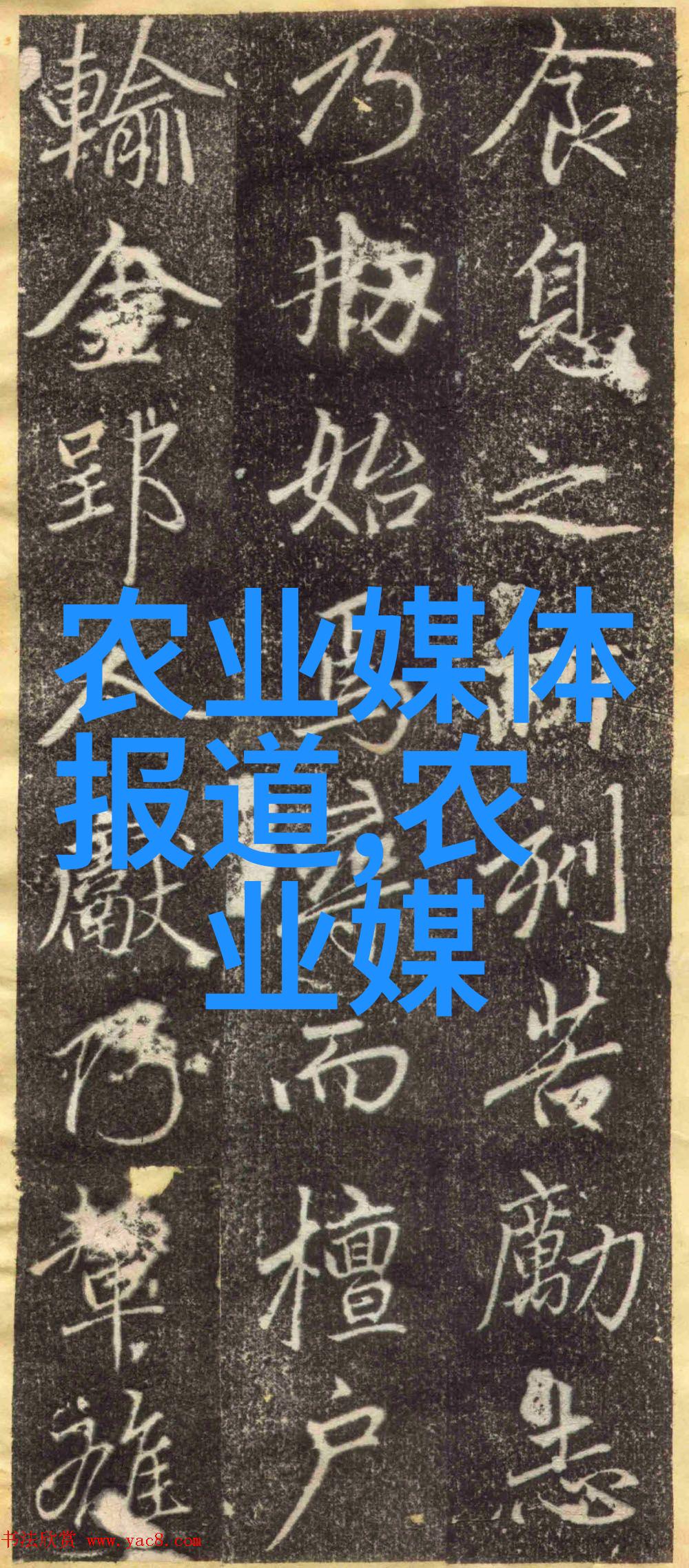 旅行指南-掌握Janpense Visa无忧海外探险的钥匙