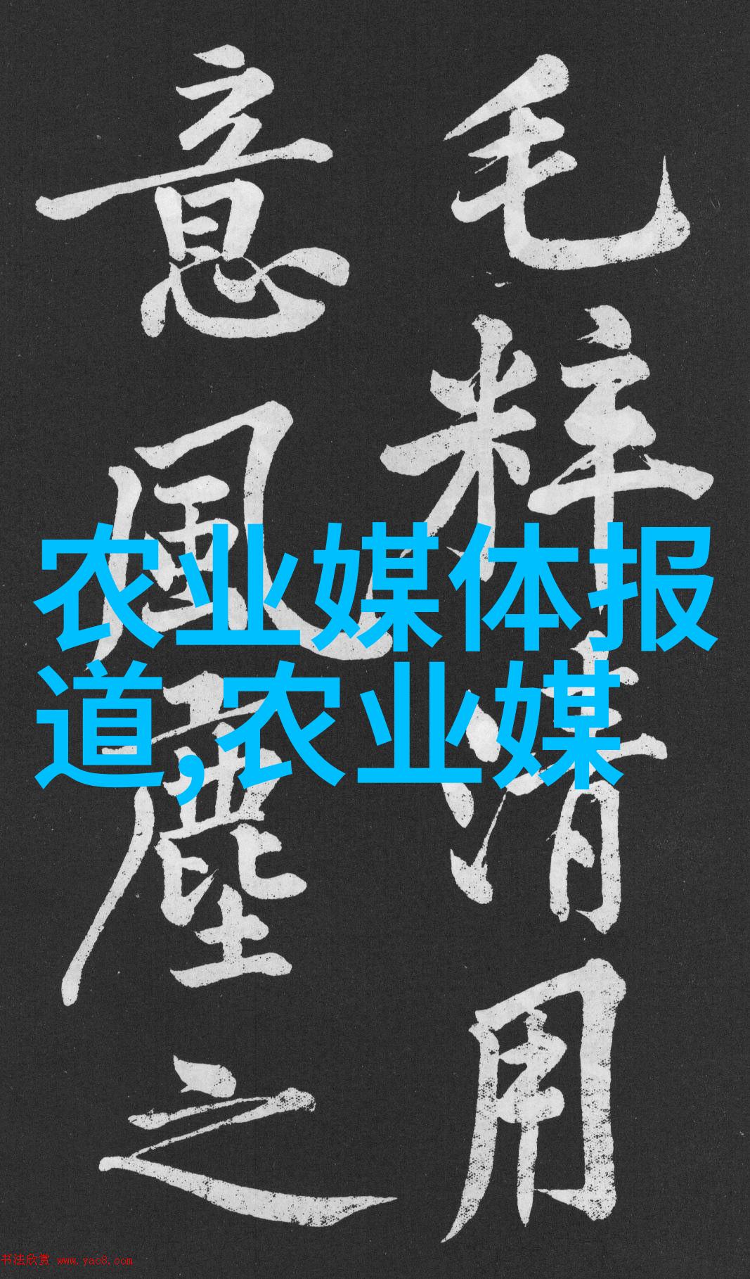 羊群背后的贫穷一个村庄的秘密