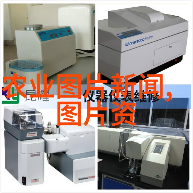 竹鼠养殖技术大全人工双黄蛋的形成秘诀