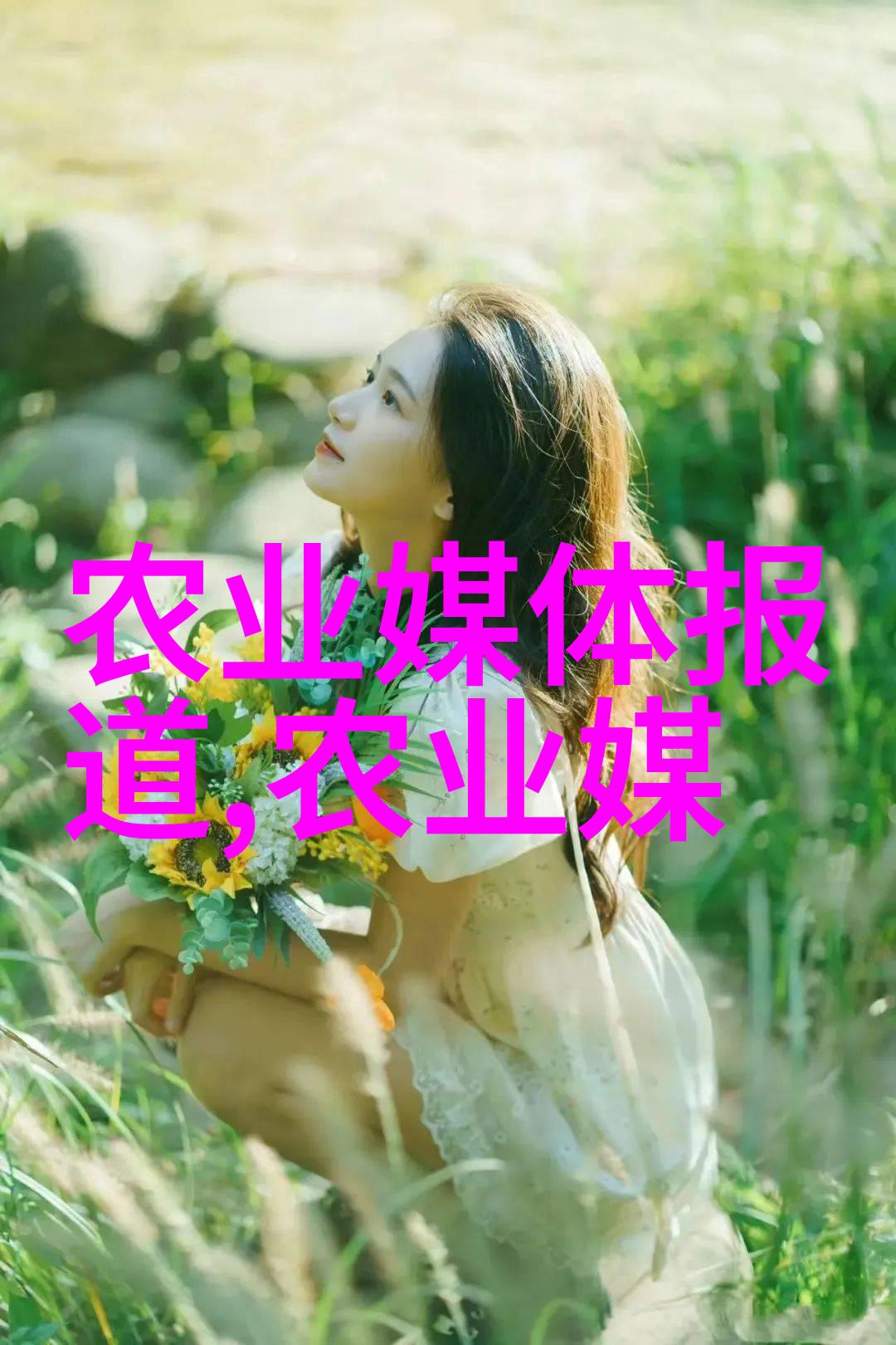 农业机械化促进法-推动绿色革命深度剖析农业机械化促进法对现代农业的影响