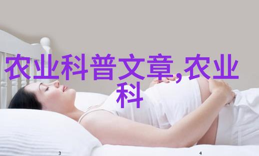 18公分天竺桂的香销天地价格探秘与花艺应用