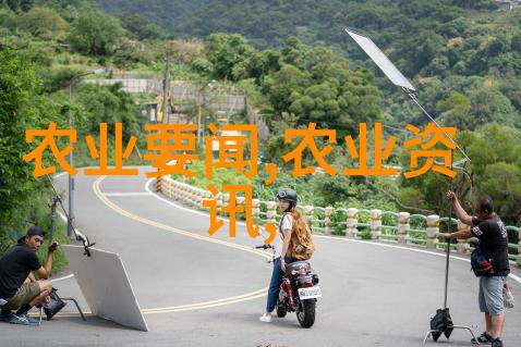 金丝楠苗木价格再创新高白蜡树产业发展前景璀璨