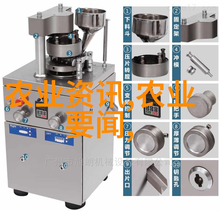 水上梦想2021年养鱼致富的秘诀