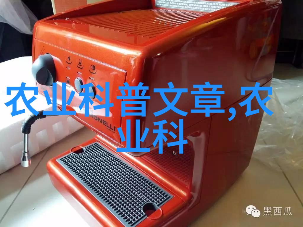 南国春色探秘斗南鲜花批发平台的魅力
