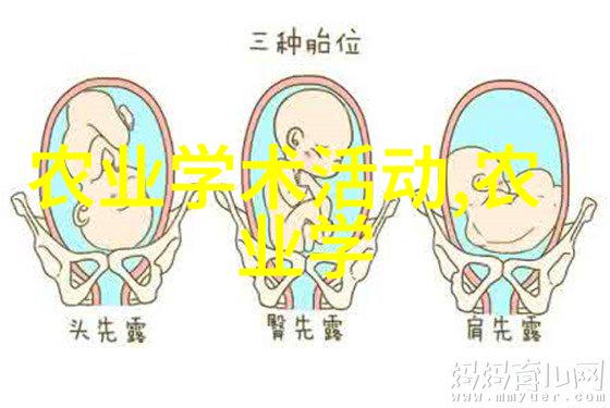 寻找水果的种子图片-揭秘水果之源一探究竟的种子摄影之旅
