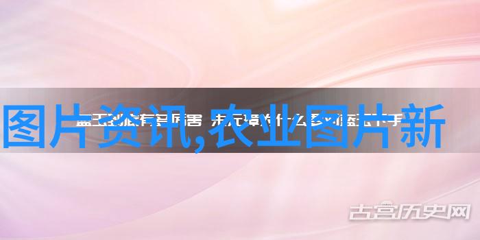 树立财富探究高经济价值的种植树类