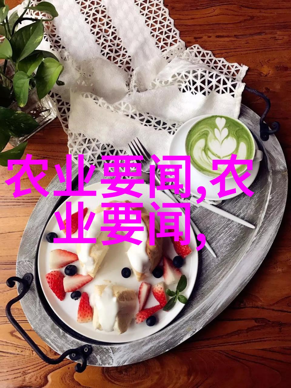 蔬菜直送绿色健康的家常选择