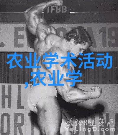 我去野生金线莲地了探秘那些隐藏在深山里的美丽宝藏